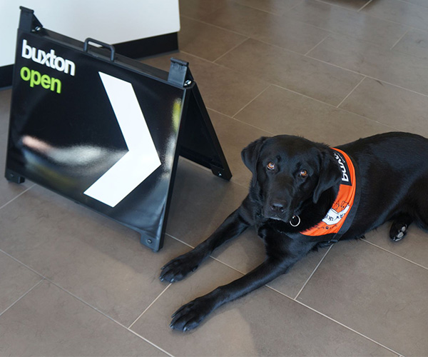 Dingley Village Keysborough Real Estate Office Properties For Sal